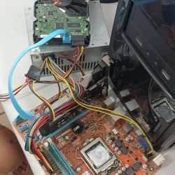 WhatsApp Image 2025-02-26 at 11.11.30